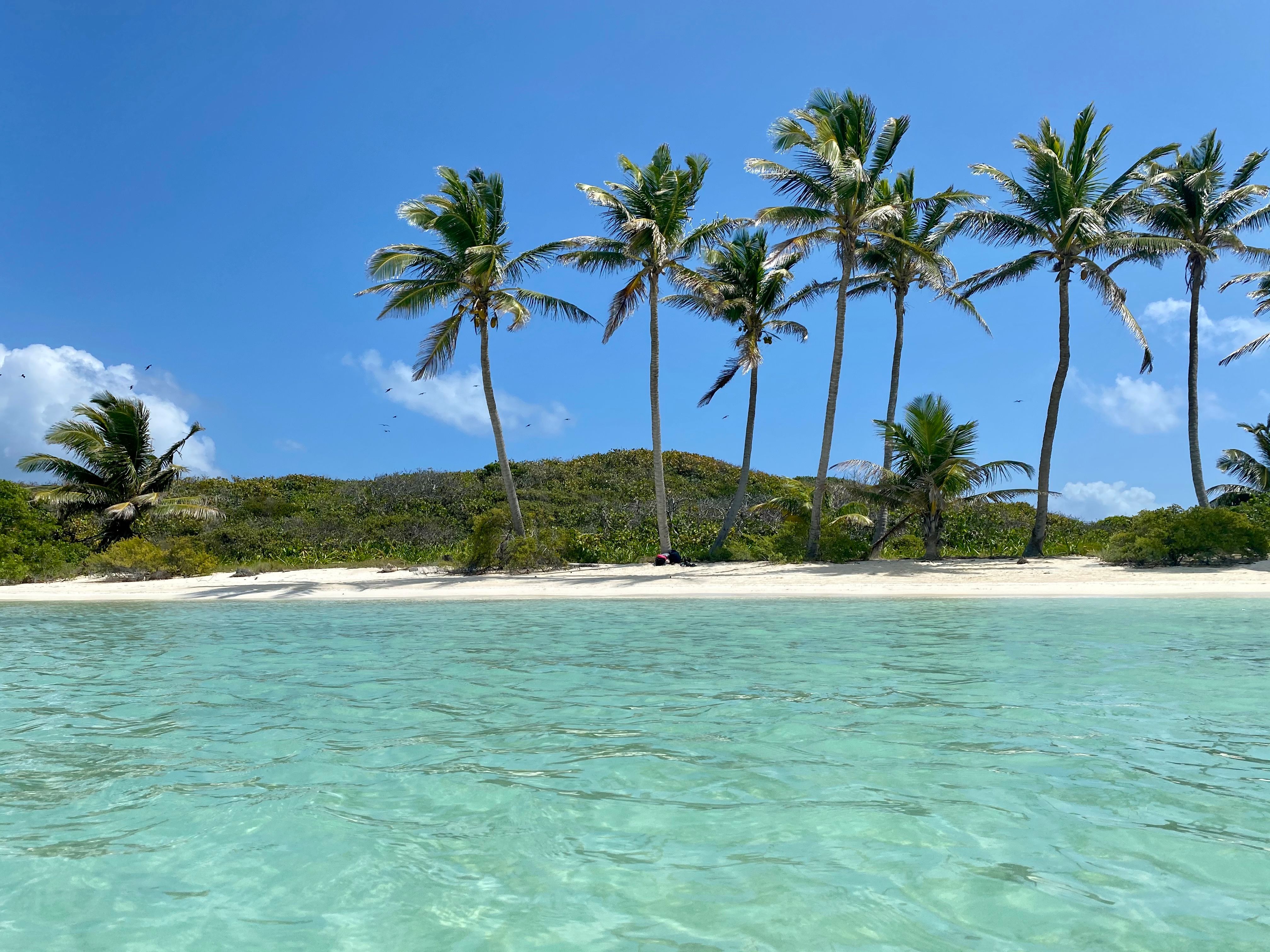Caribbean vacation