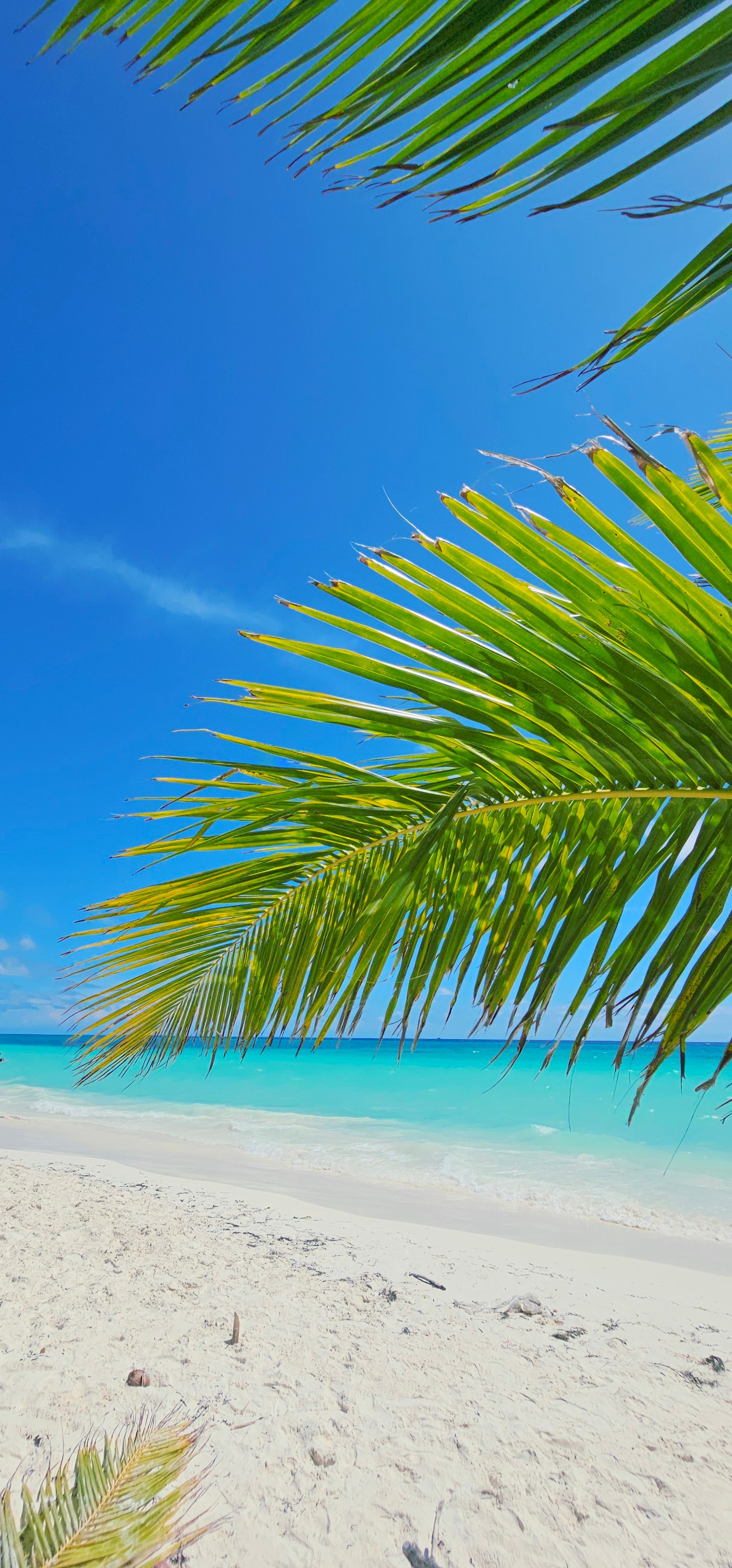 Caribbean vacation